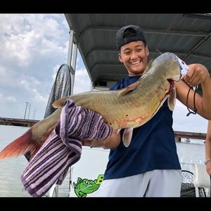 Meet your Posher, Tate